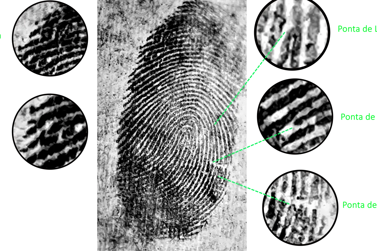 Imagem papiloscópica ampliada para análise forense