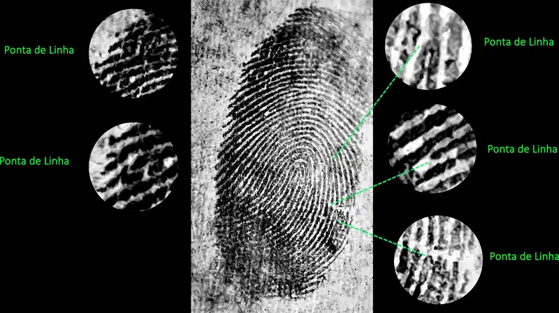Fragmentos papiloscópicos ampliados para análise documental